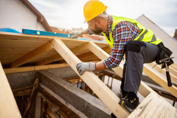 Best Roof Gutter Cleaning  in Dover, AR