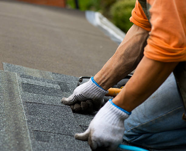 Best Roof Repair Services  in Dover, AR