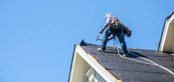 Best Roof Gutter Cleaning  in Dover, AR